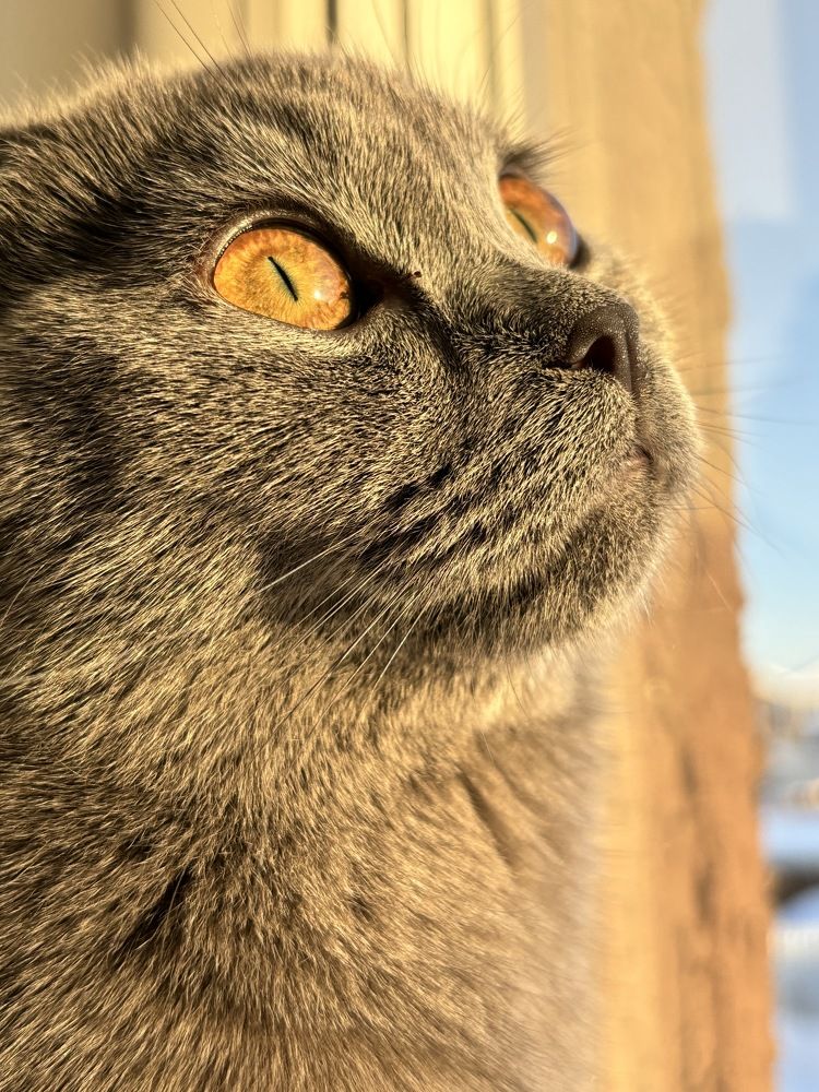 Photograph by Алина Соколова