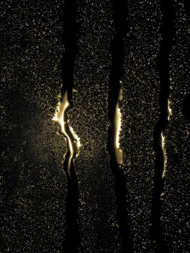 Photograph by Анастасия Псарёва