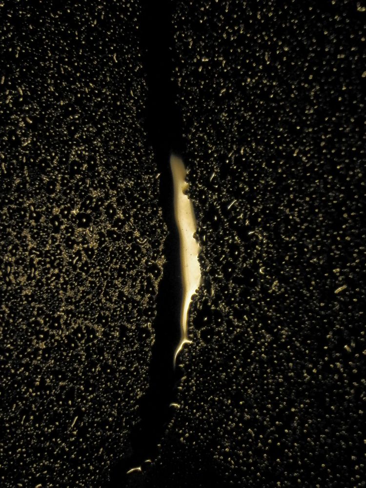 Photograph by Анастасия Псарёва