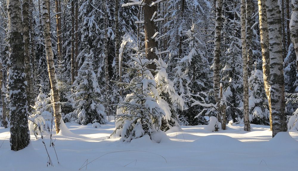 Photograph by Станислав