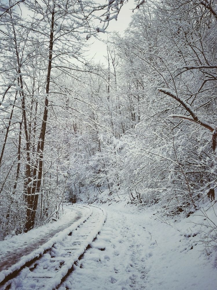 Photograph by Марина Жарикова