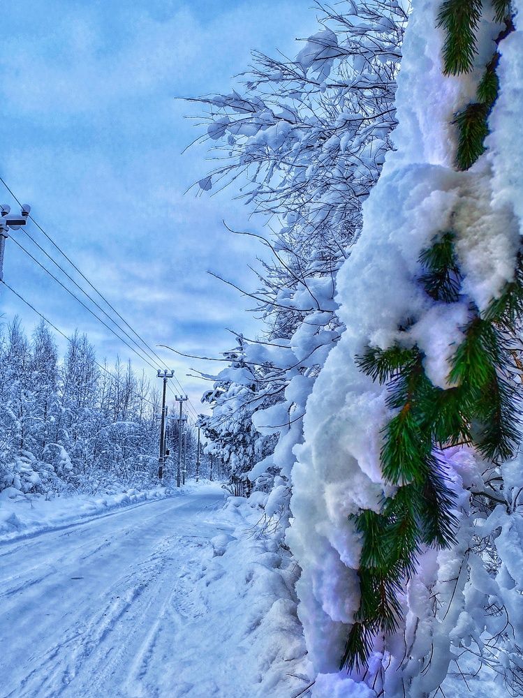 Photograph by Дайана