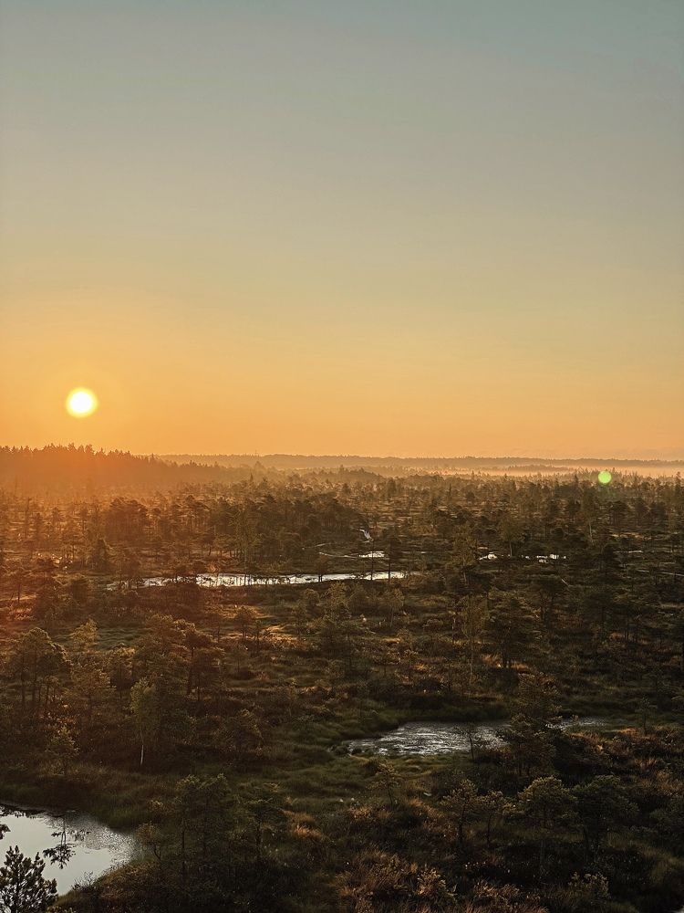 Photograph by Veronika Vilima