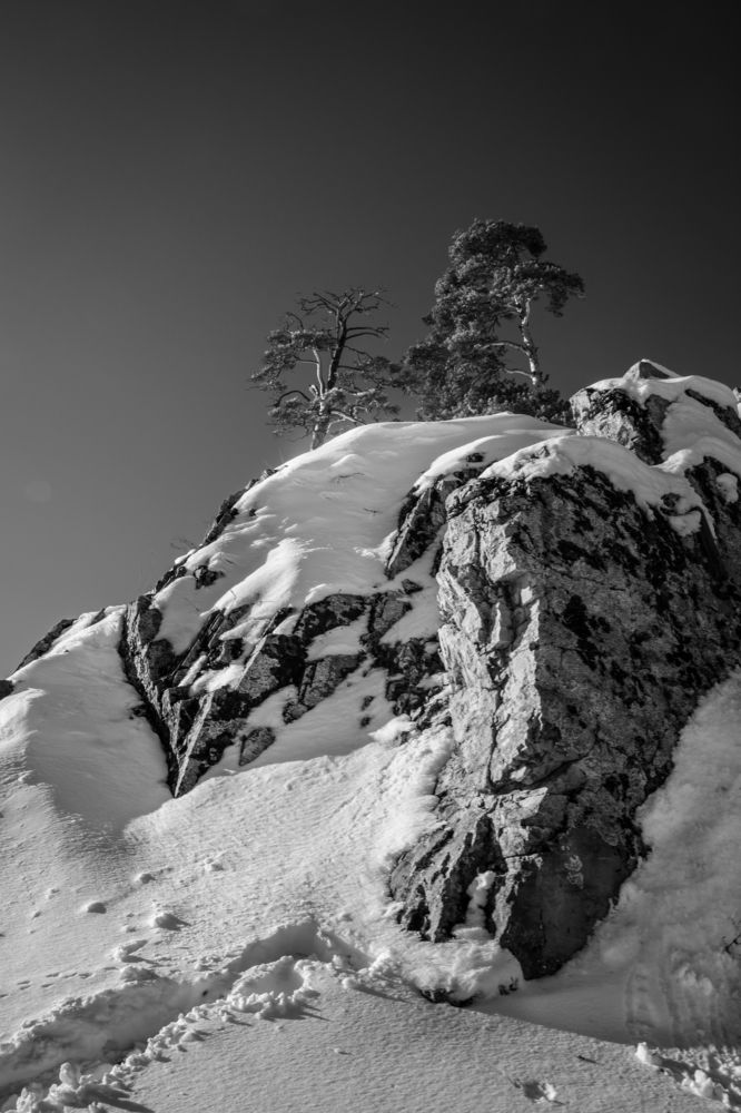 Photograph by Света Назарова