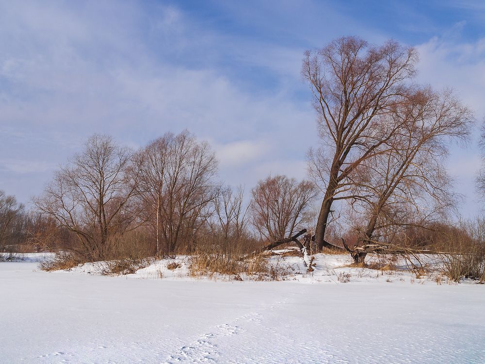 Photograph by Viktor Korotnev