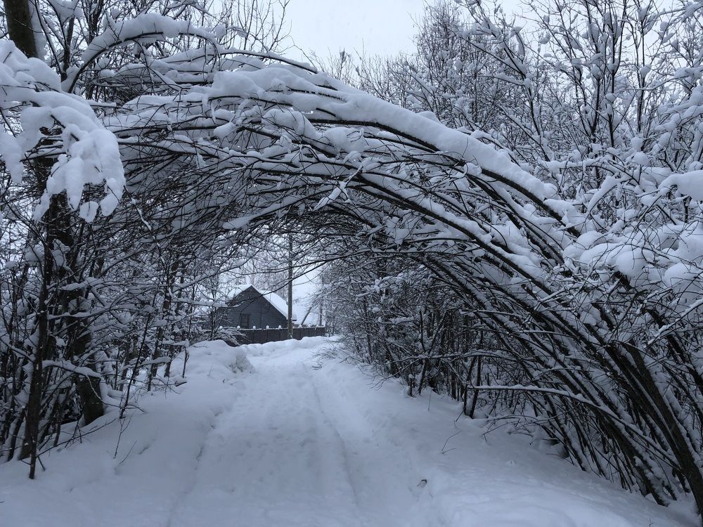 Photograph by Мария Бессмертная