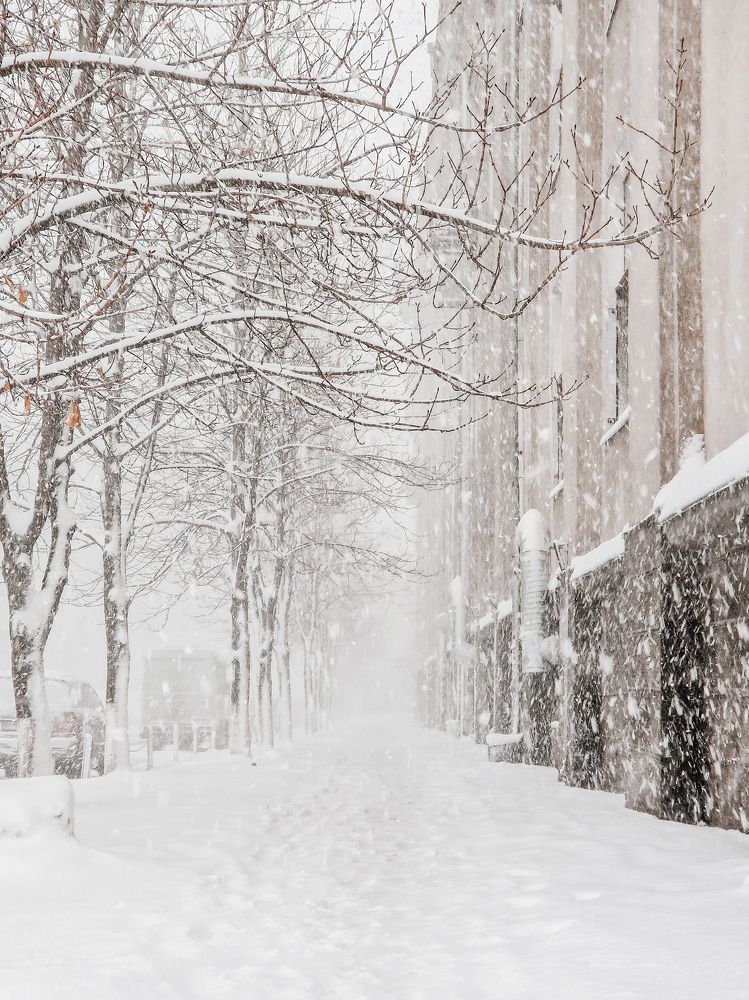 Photograph by Liudmila Kirillova