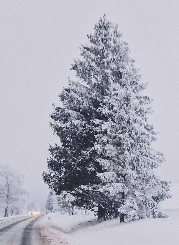 Photograph by Liudmila Kirillova