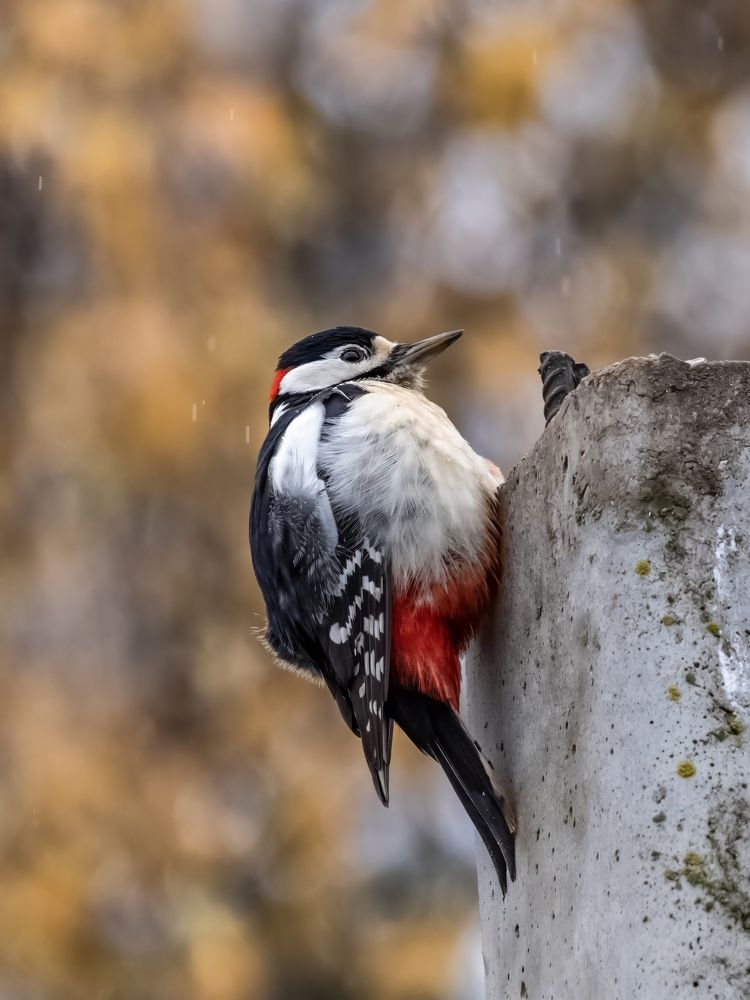 Photograph by Сергей Хабаров