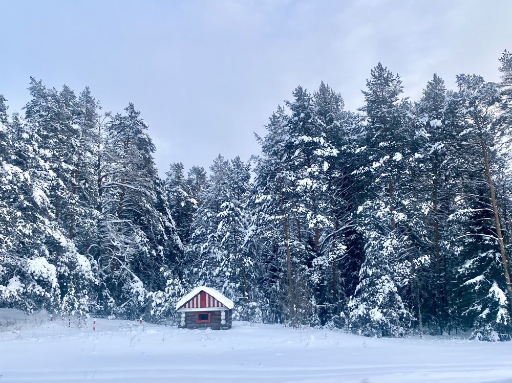 Фотография автора ГУЗАЛИЯ ГАНИЕВА
