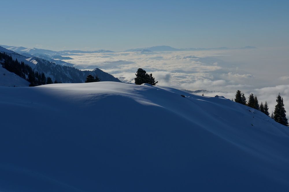 Photograph by фид зон