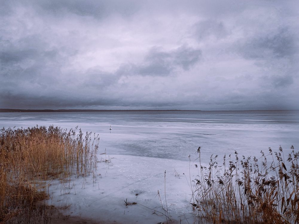 Photograph by Ольга Еженевская