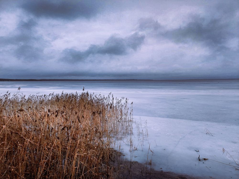 Photograph by Ольга Еженевская