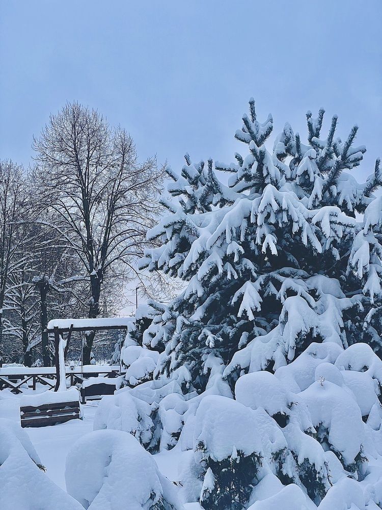 Photograph by Veronika Vilima