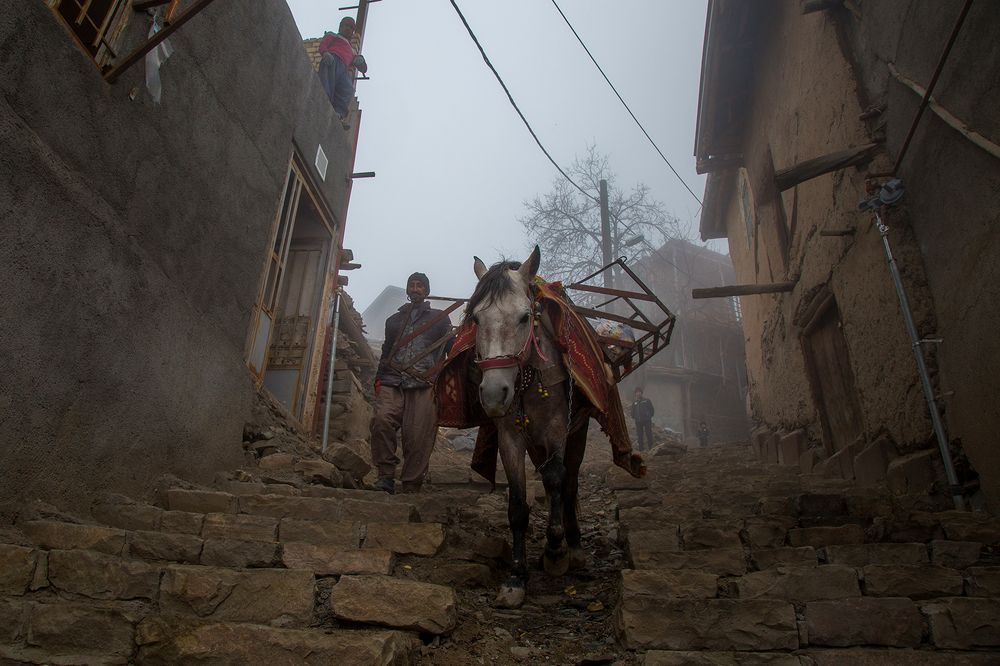 Photograph by seyed mostafa yousefi