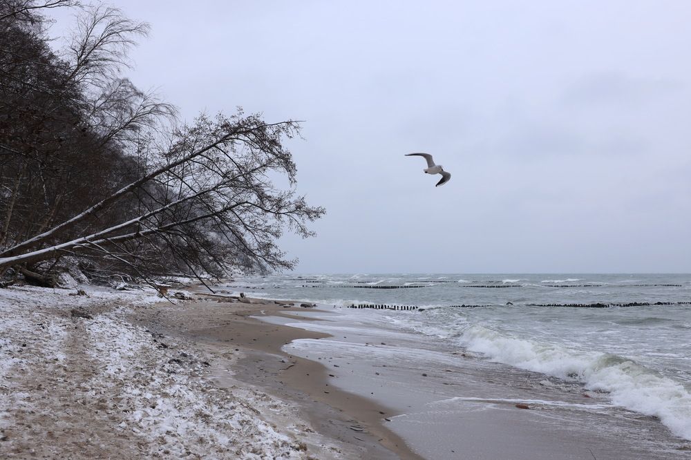 Балтика в январе