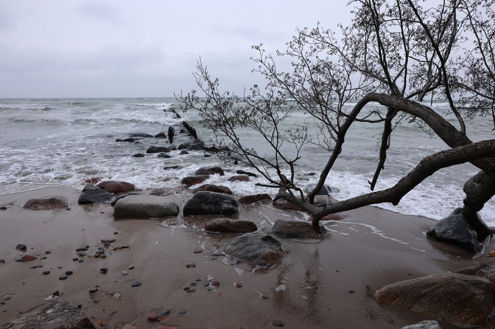 Фотография автора Колосова Елена