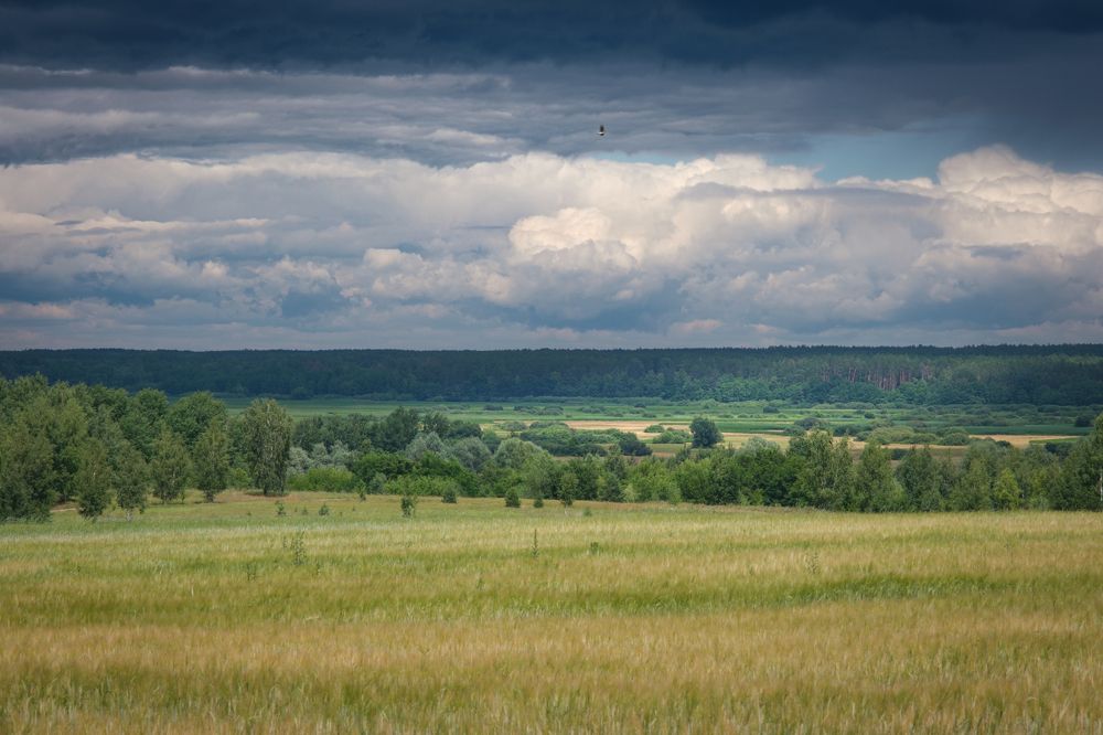 Photograph by Котов Дмитрий