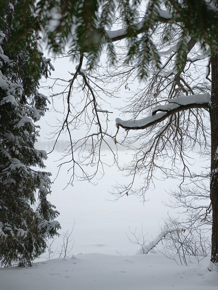 Photograph by Ольга Кириллова