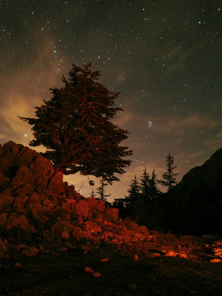 Photograph by Valensia Ludus
