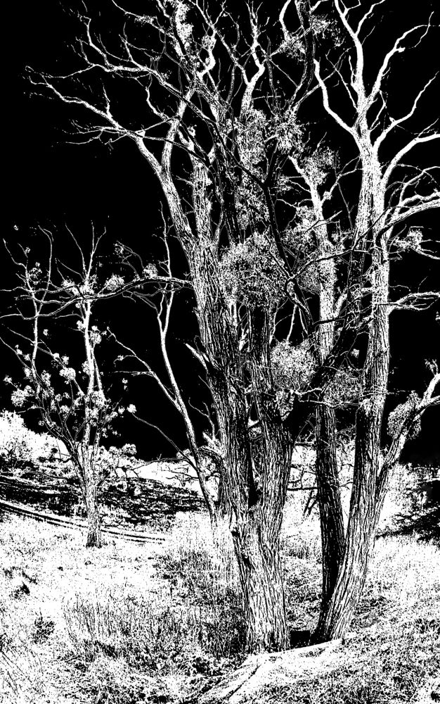 Photograph by Oleg Malovitskyi