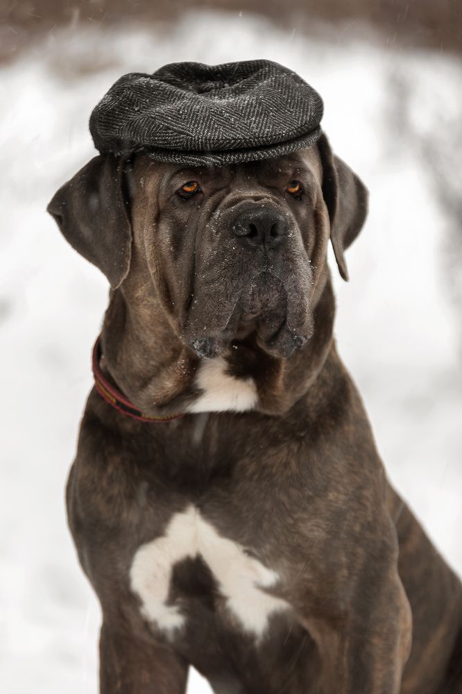 Photograph by Наталья Матюхина