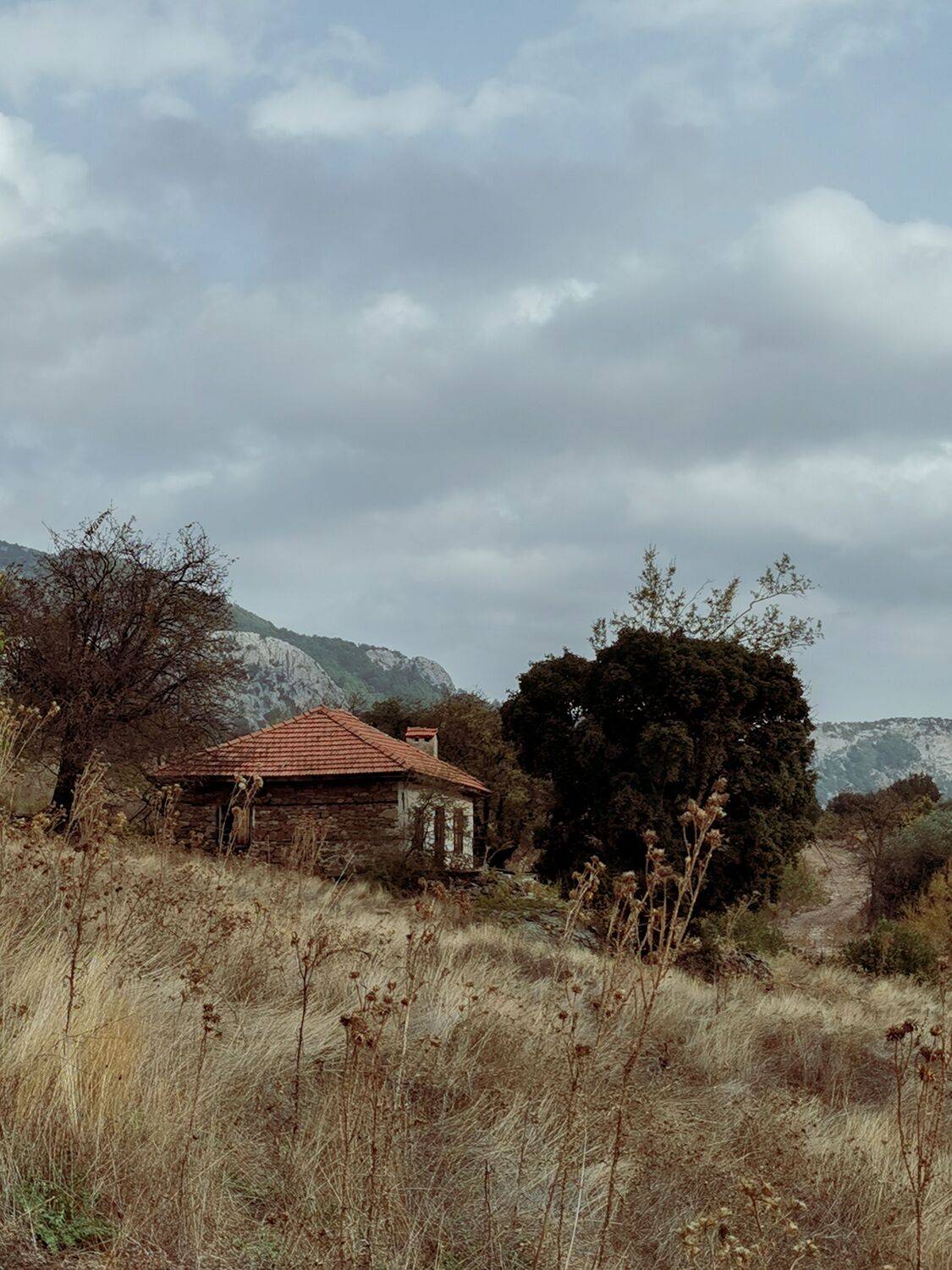 Photo #10058648