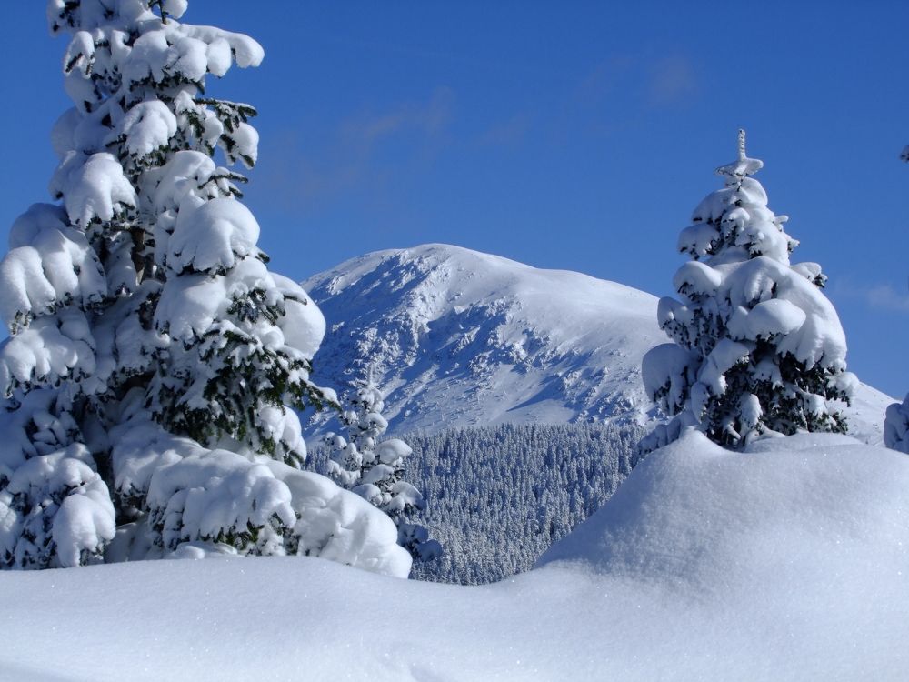 Photograph by Cengiz Yalcin