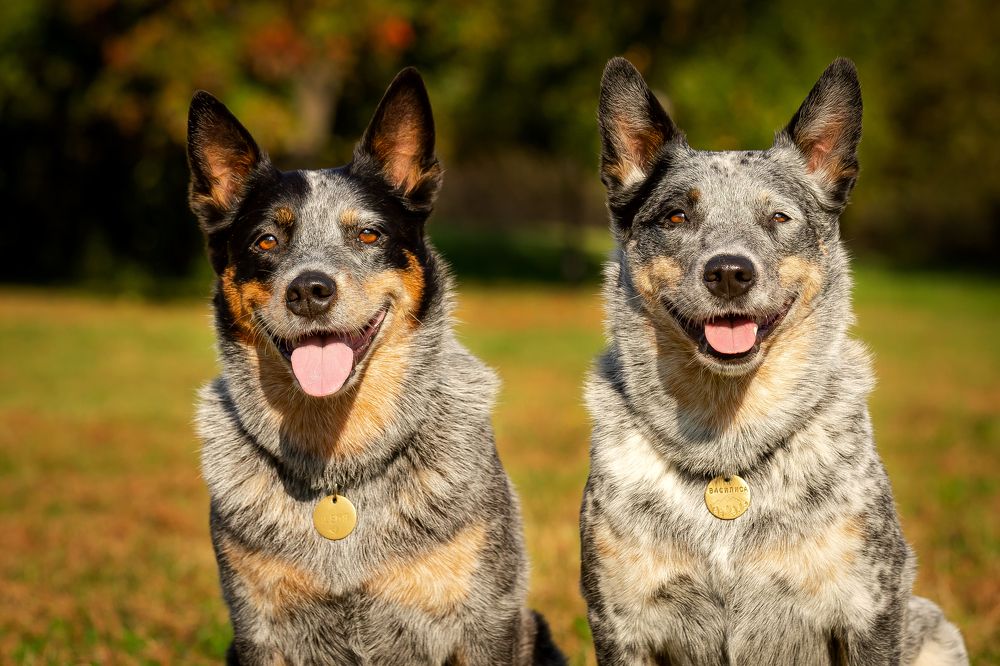 Photograph by Наталья Матюхина