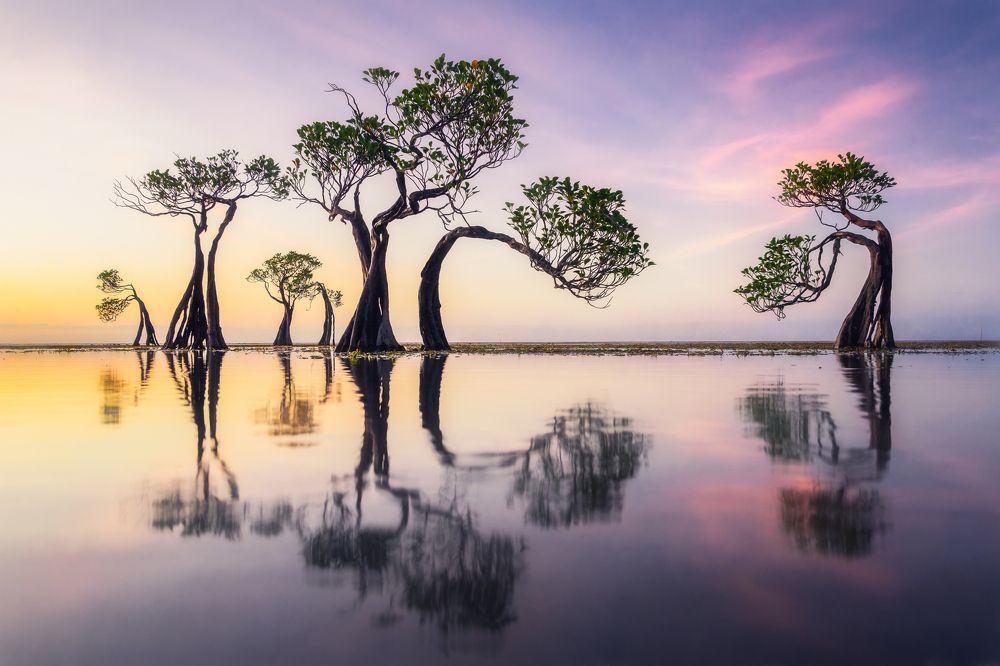 Photograph by Dmitry Ishniyazov