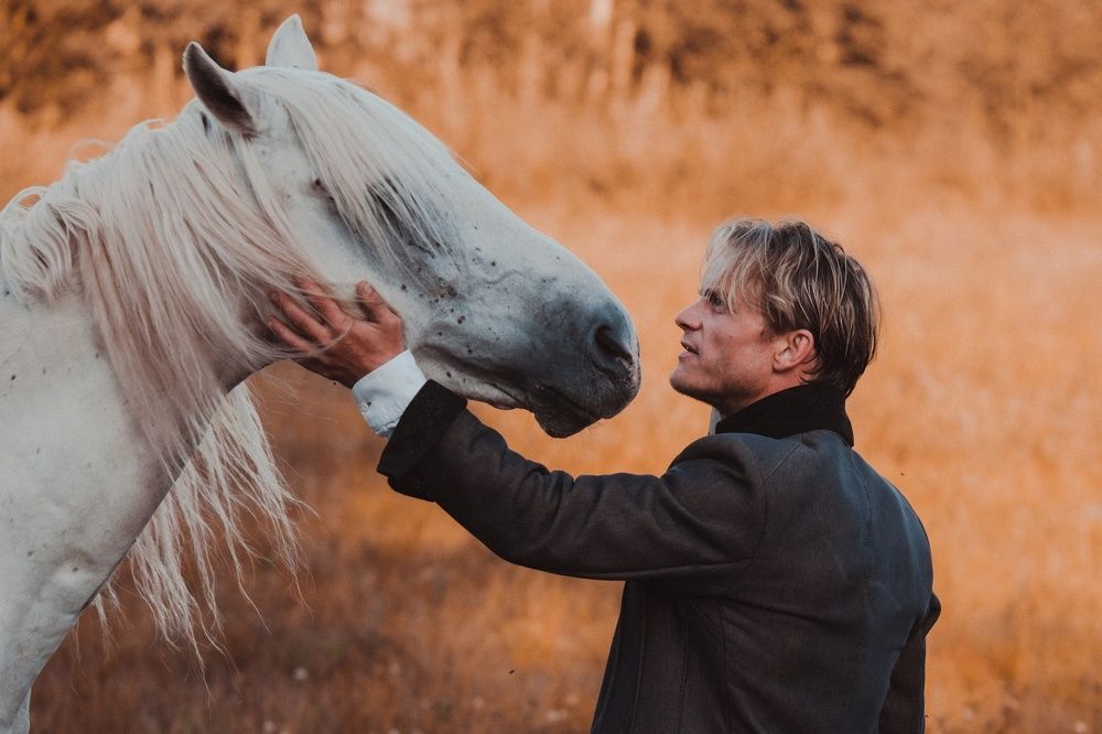 Photograph by Алексей Купцов