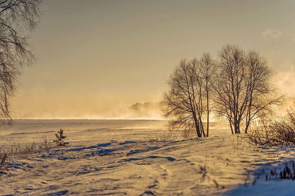 Фотография автора Светлана Разумовская