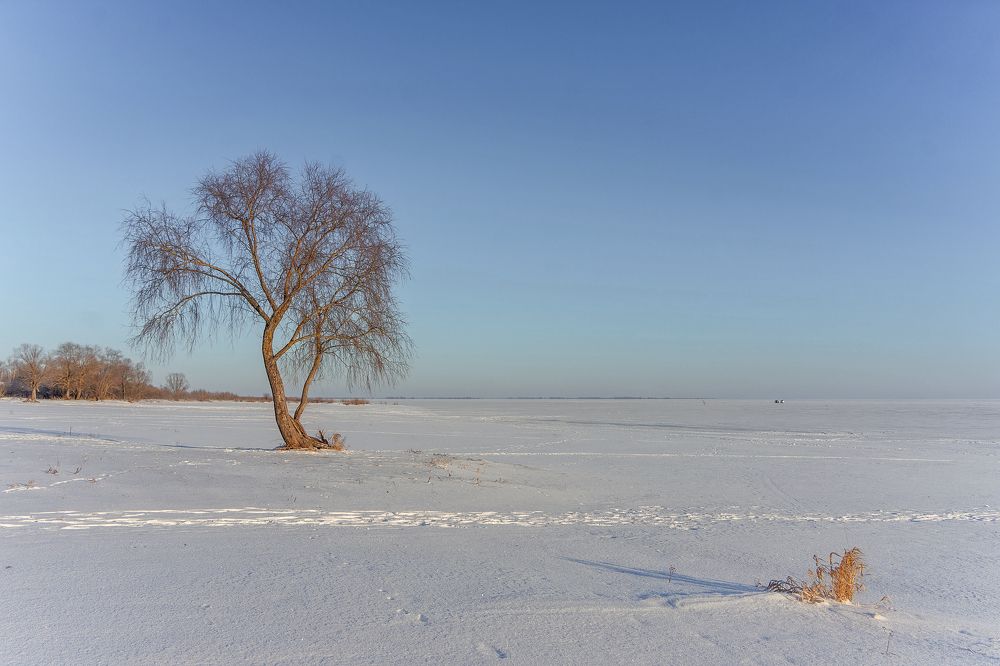 Фотография автора Светлана Разумовская