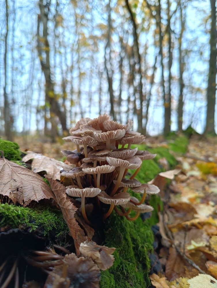 Photograph by Ольга Кириллова