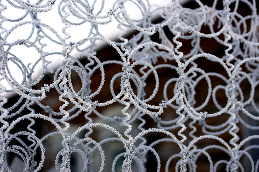 Фотография автора Nelya  Lysenko