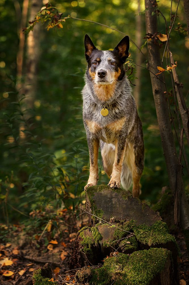 Photograph by Наталья Матюхина