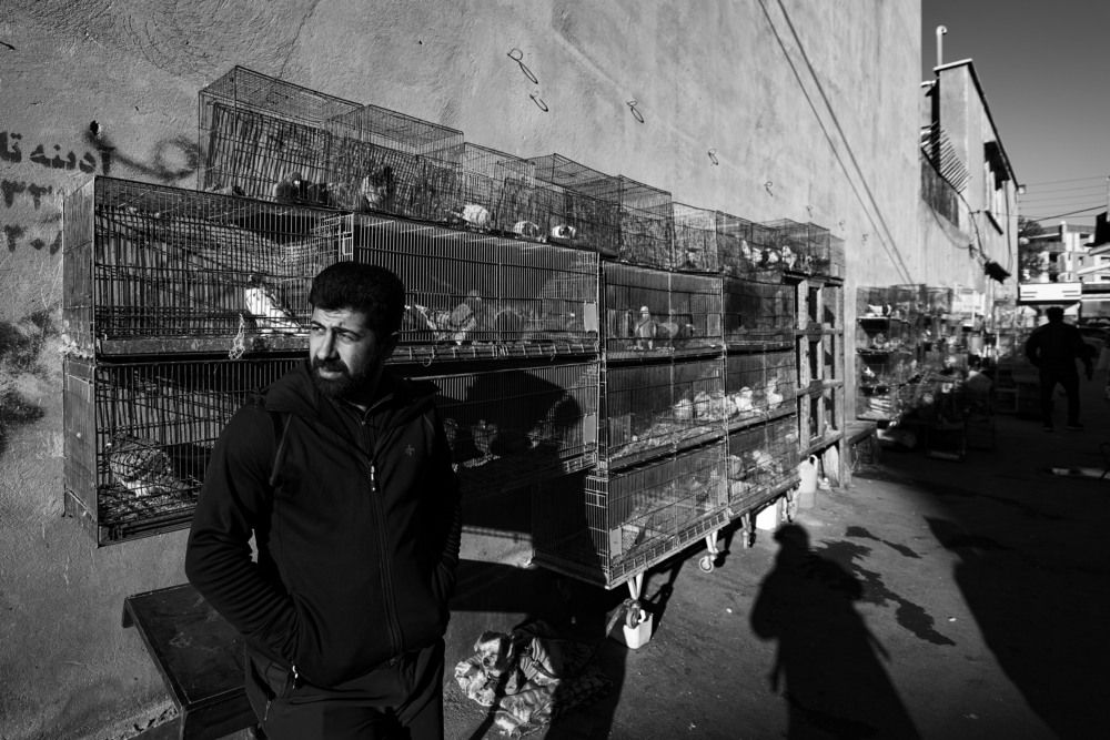 Photograph by reza khanbabaei