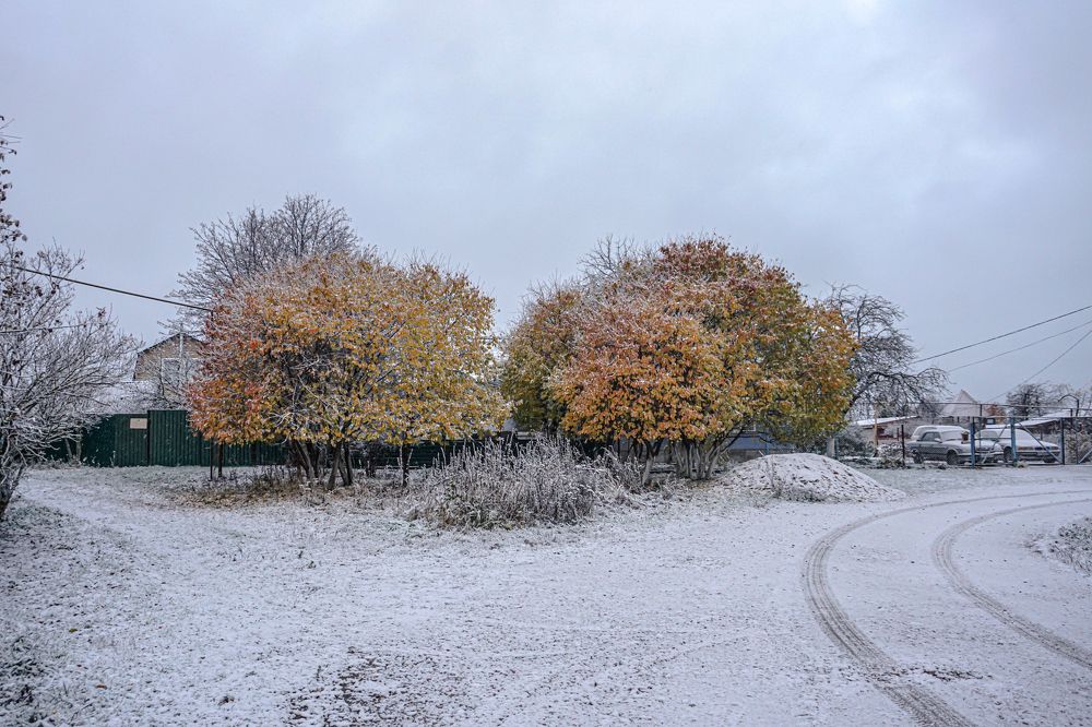 Photograph by Алфия Бугакова