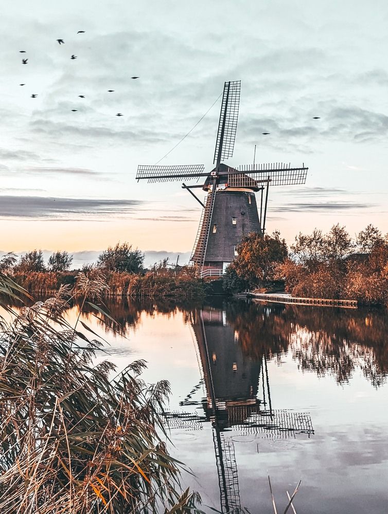 Фотография автора Ксения Шляйхер