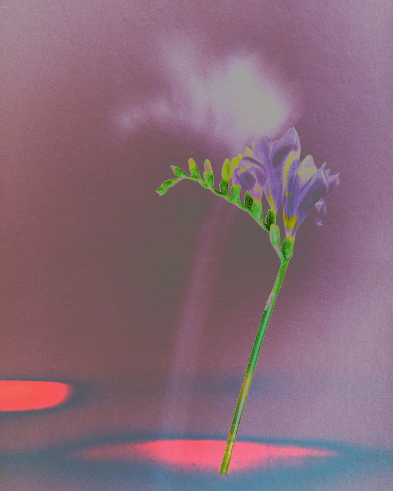 Photograph by Наталья Жук