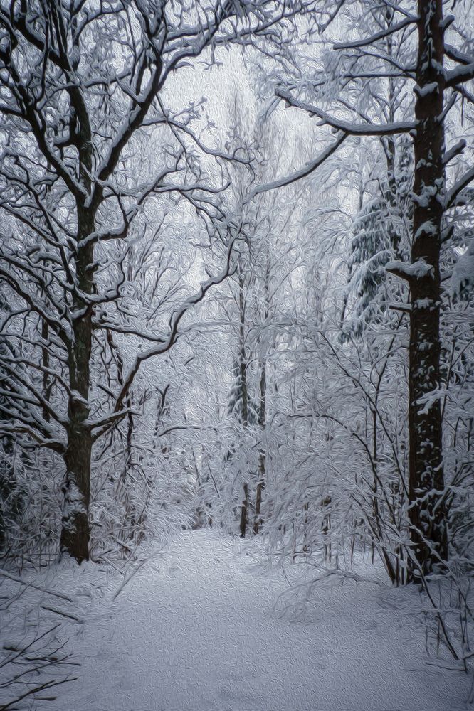 Photograph by Марина Пехтерева