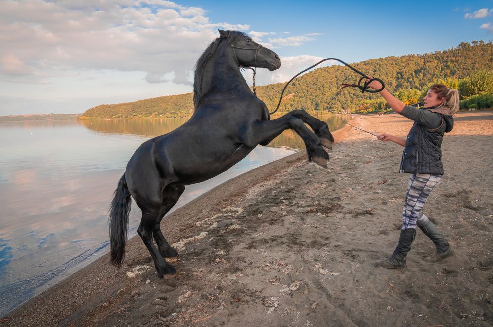 Фотография автора Дария Максимова