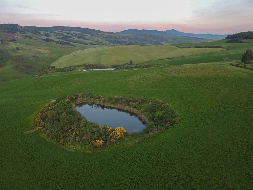 Photograph by Дария Максимова