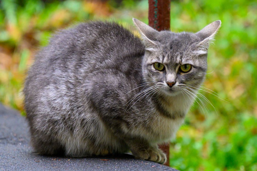 Photograph by Вячеслав Белов