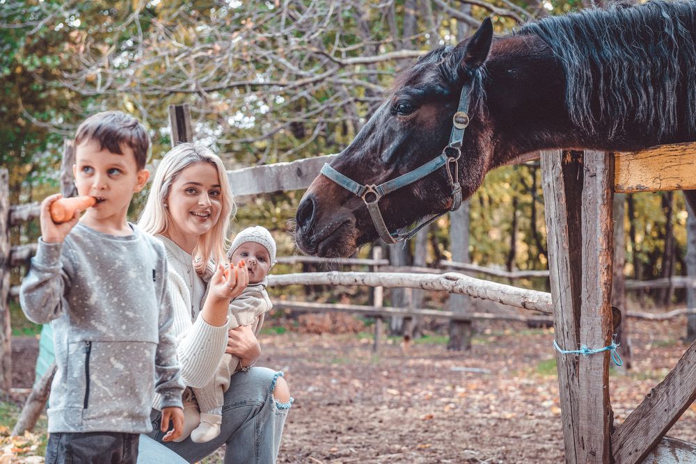 Фотография автора Ольга Тенилова