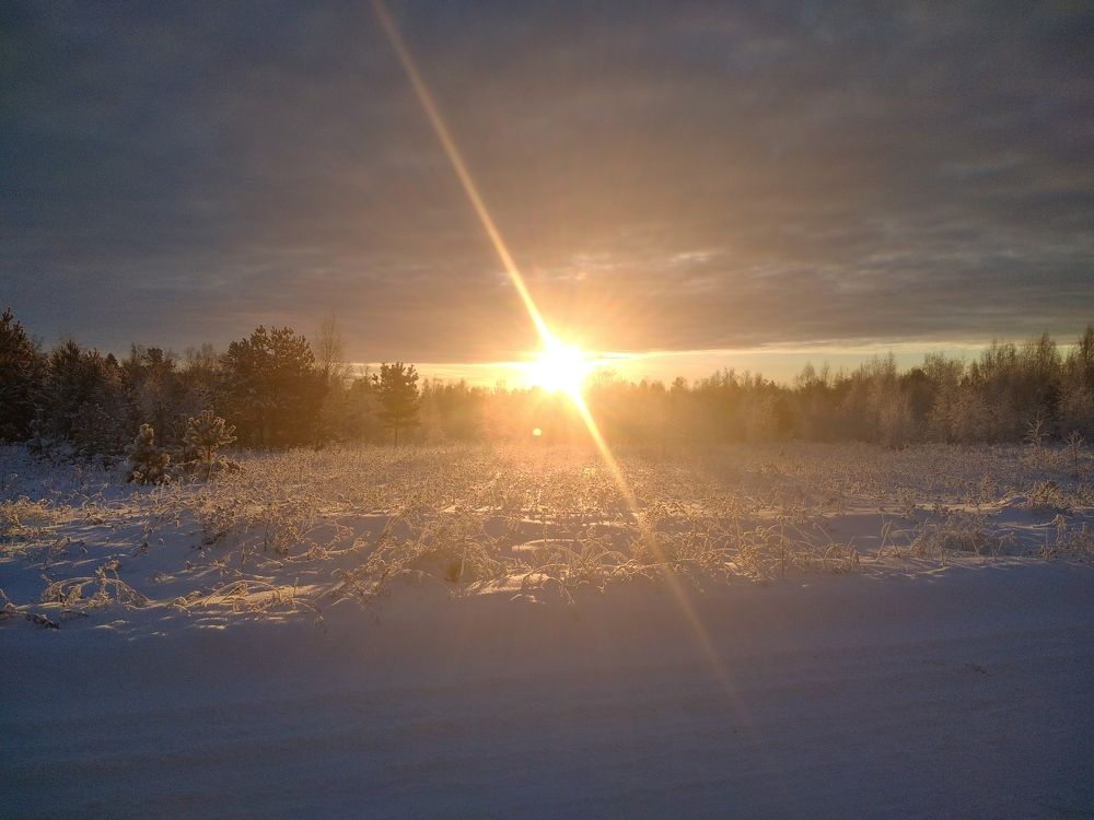 Photograph by Галина Мурашкина