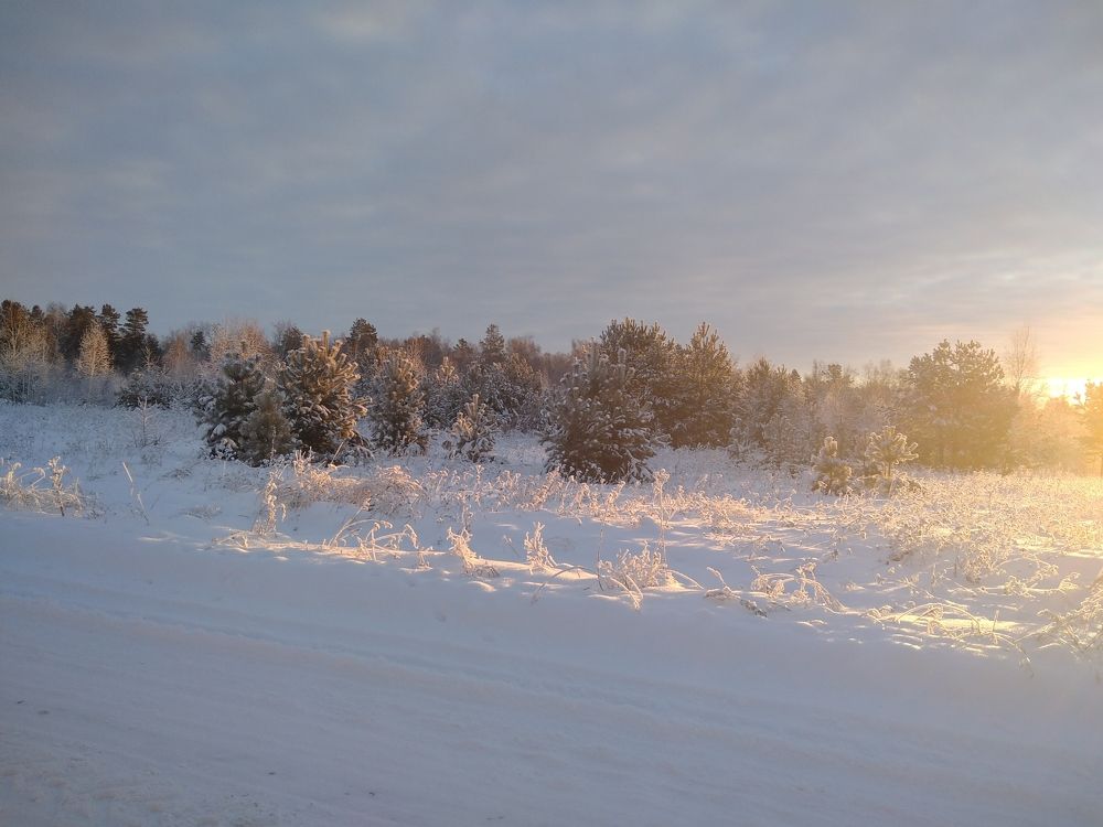 Photograph by Галина Мурашкина