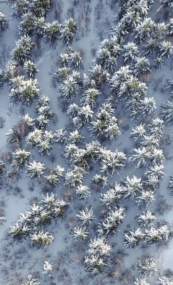 Photograph by Андрей Фадеев