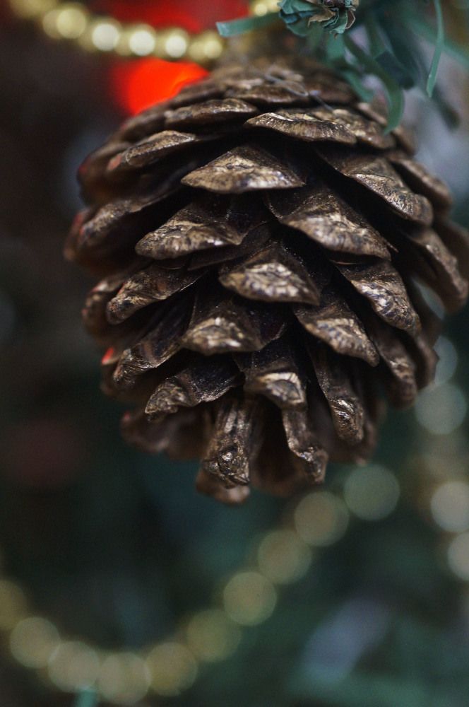 Photograph by Julio Felipe Santo Tomas