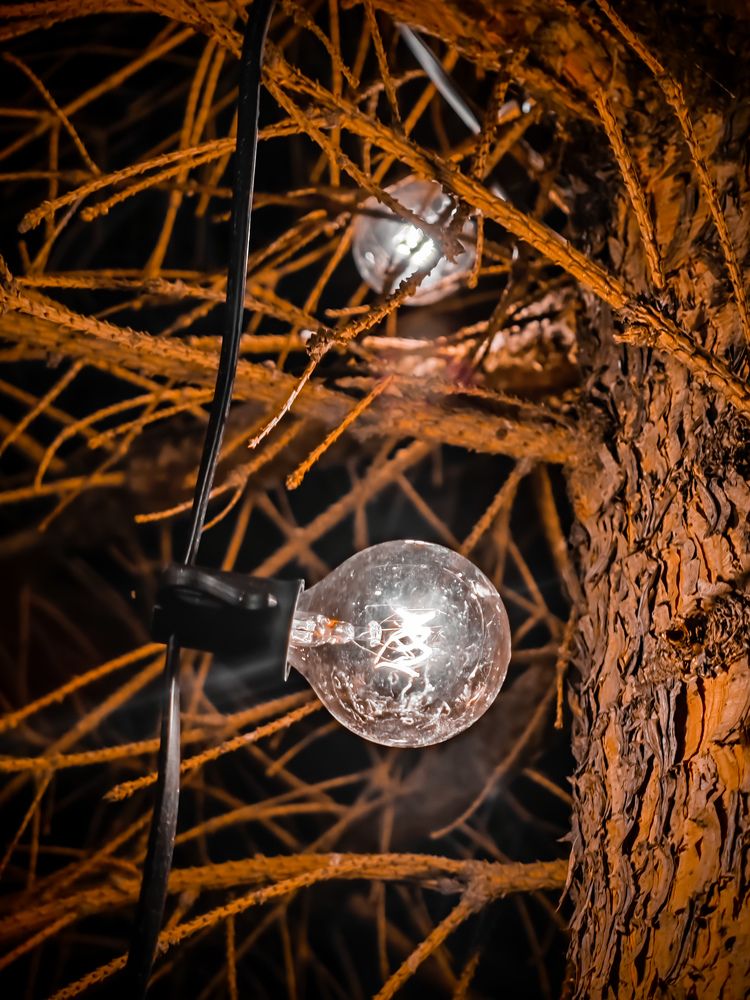 Фотография автора Иван Мисько